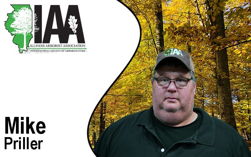 A man in glasses and a hat standing next to trees.