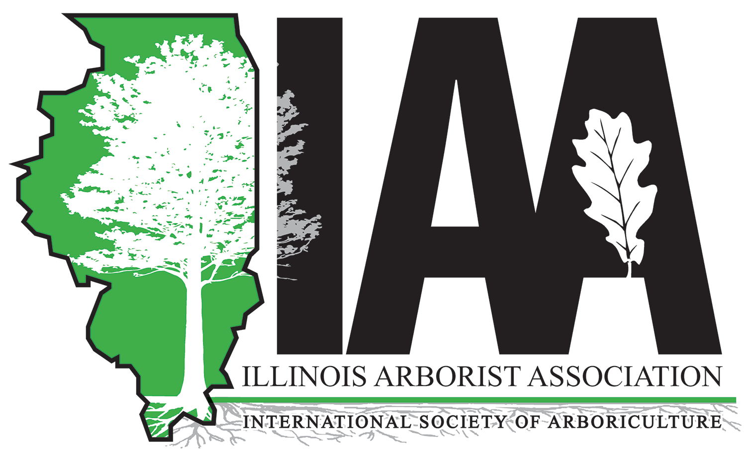 IAA emblem showing Illinois map and white tree