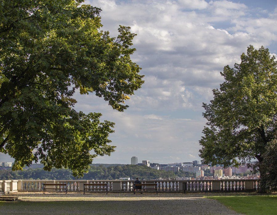 A person sitting on the ground near trees.
