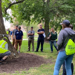 Arborists inspecting tree root and discussing