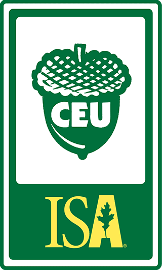 ISA CEU acorn badge in green and yellow