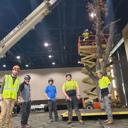 Tree service workers demonstrate equipment.