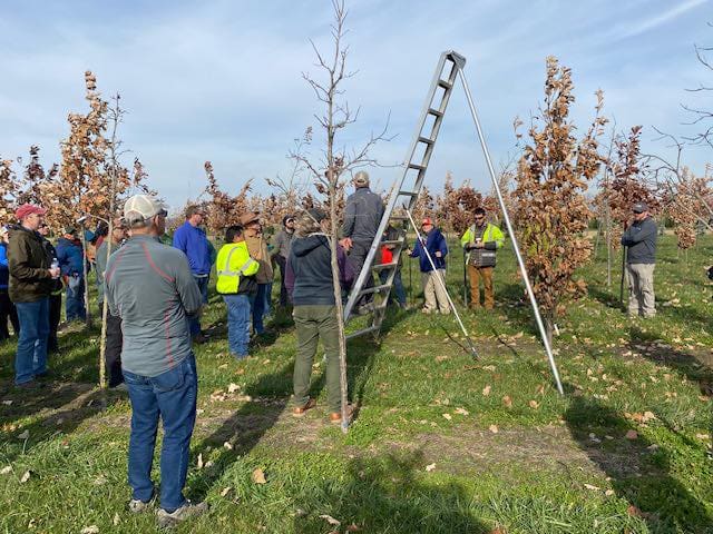 Group of people inspecting young trees.
