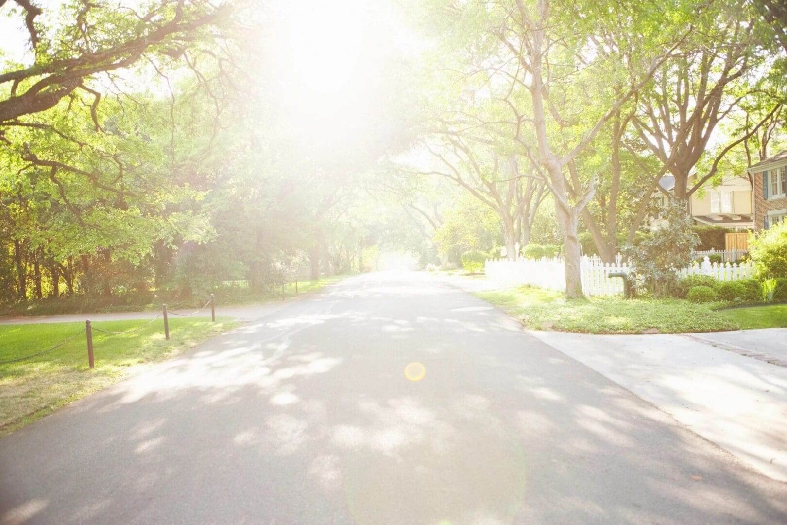 Sunny tree-lined suburban street scene.
