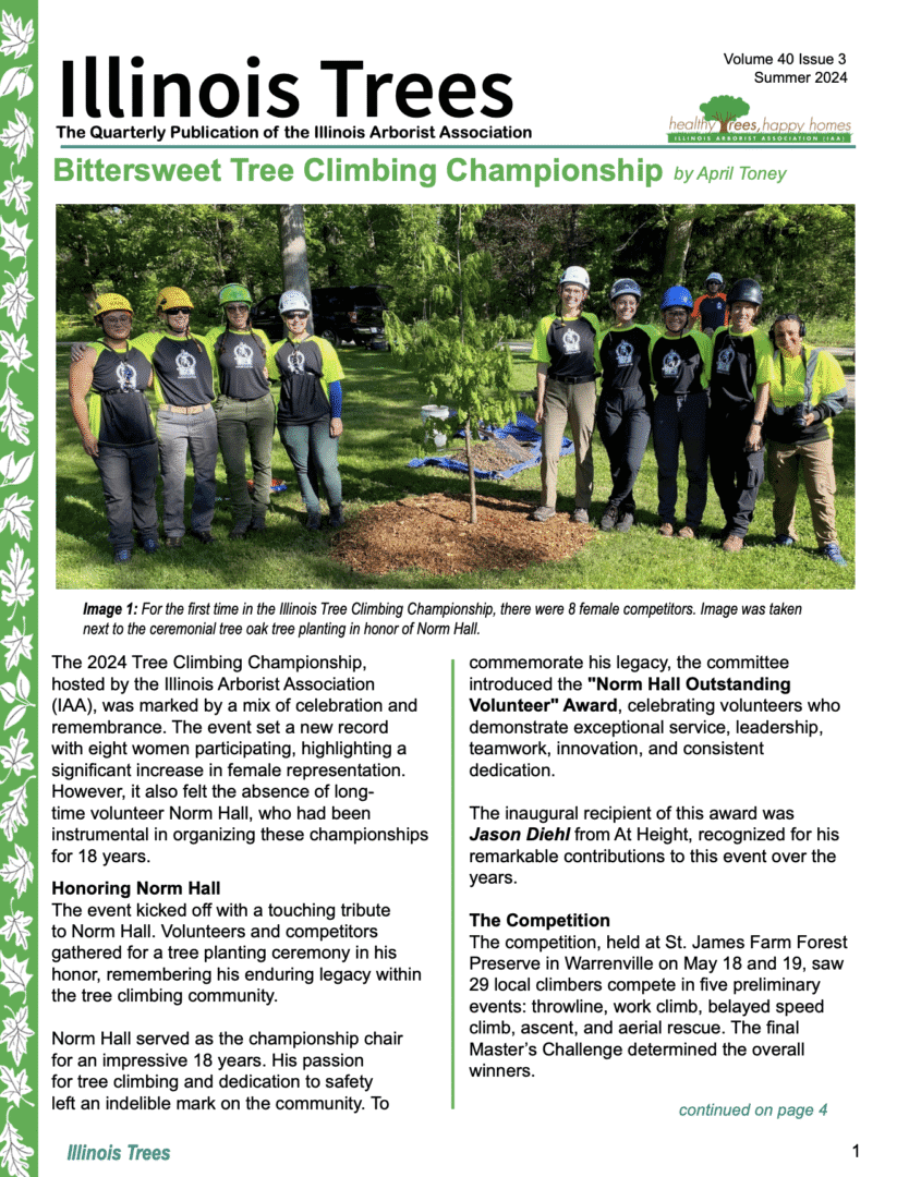 Group of tree climbing competitors outdoors.