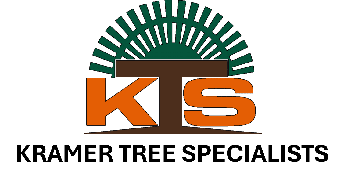 KTS logo with green and orange design.