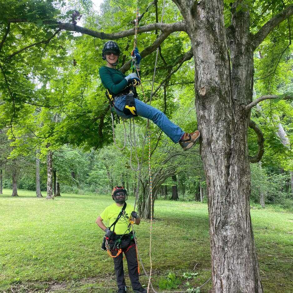 Tree climbing with safety gear in forest.