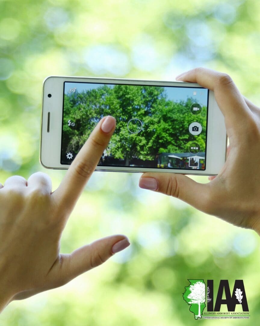 IAA Photo Submission Page Image
